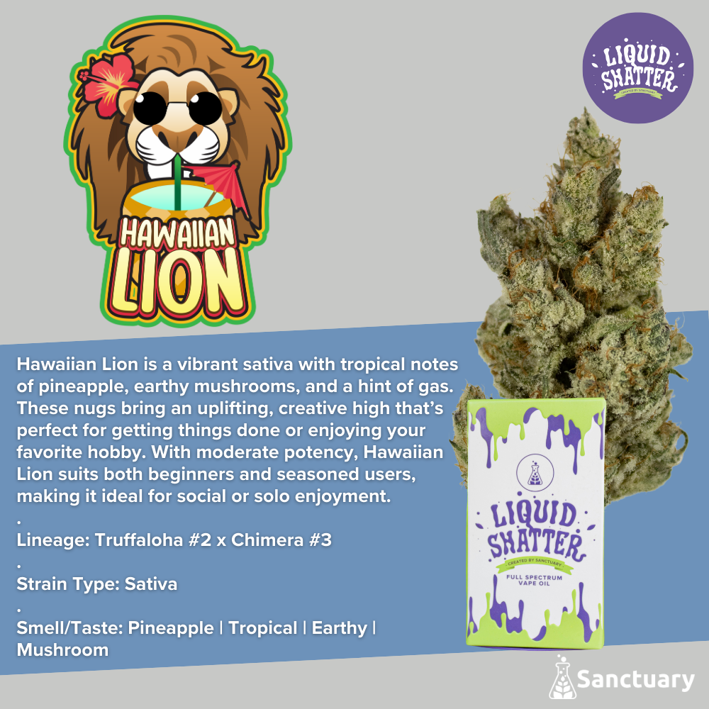 Liquid Shatter - Hawaiian Lion