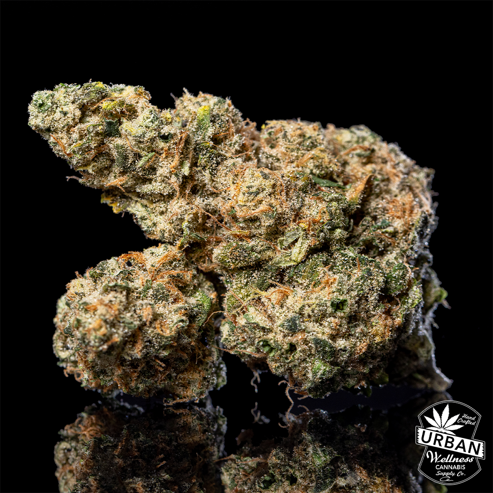 Shop Sky OG | Urban Wellness - 98th Dispensary Albuquerque, NM