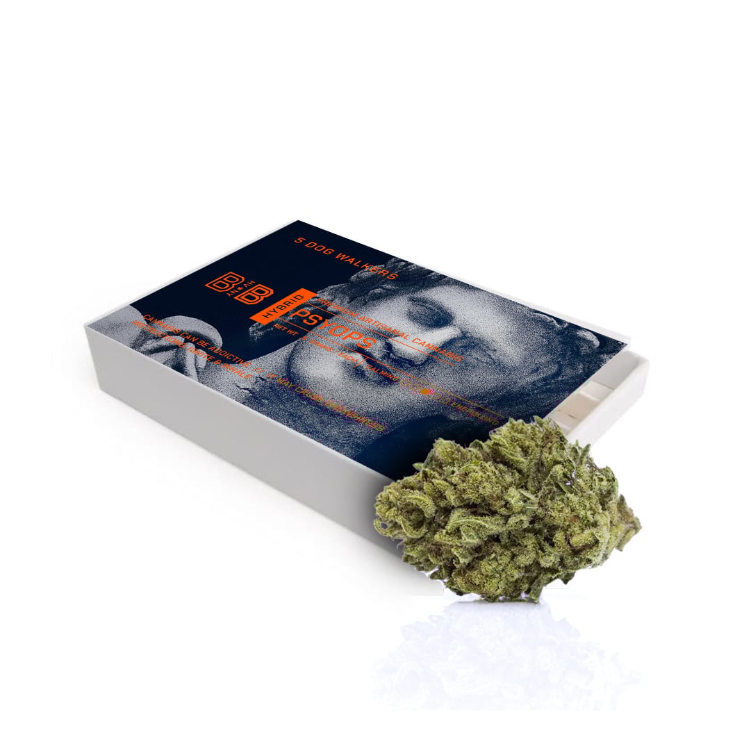 BOOjee Ben - Psyops - 5pk Pre Rolls - 2.5g