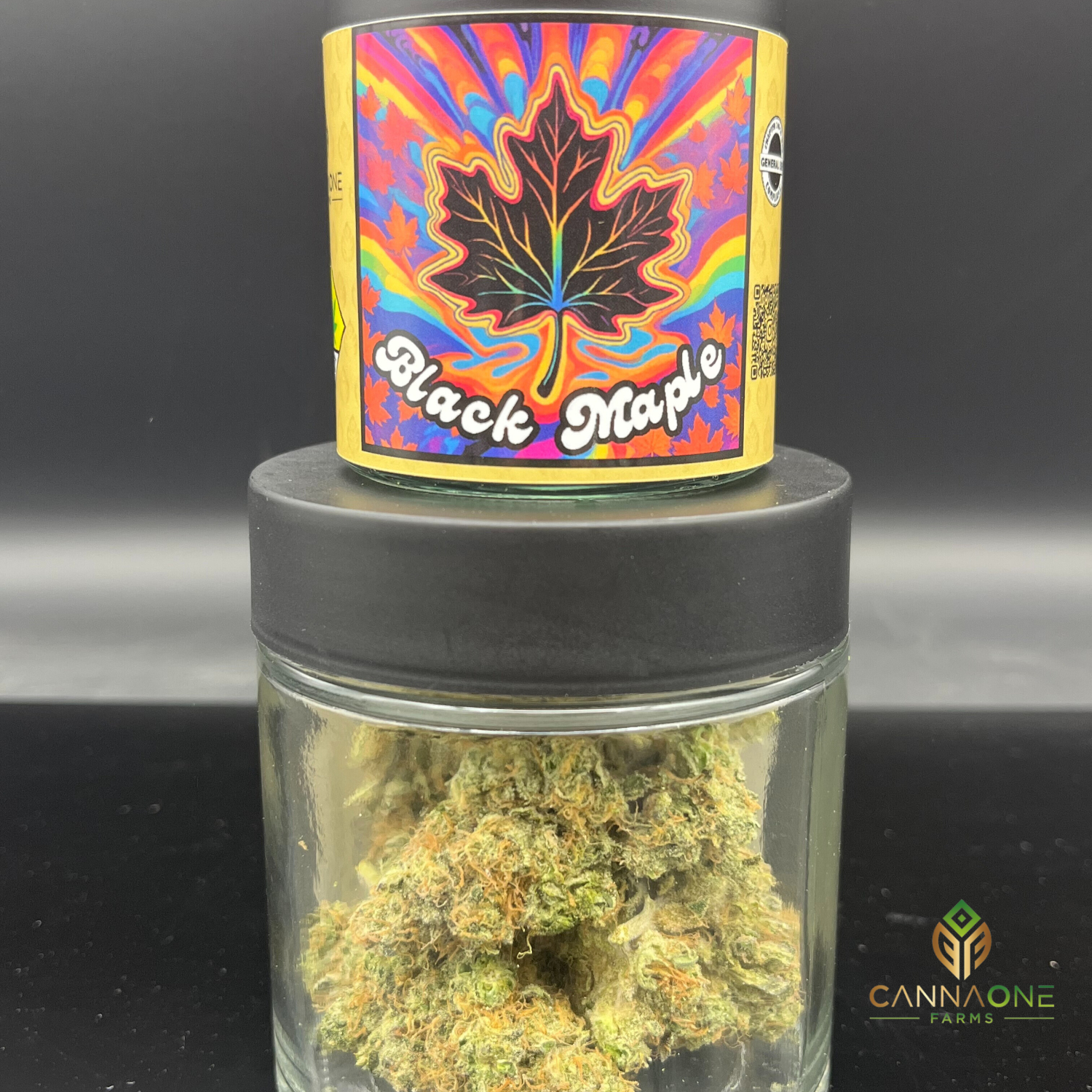 Black Maple Black Maple