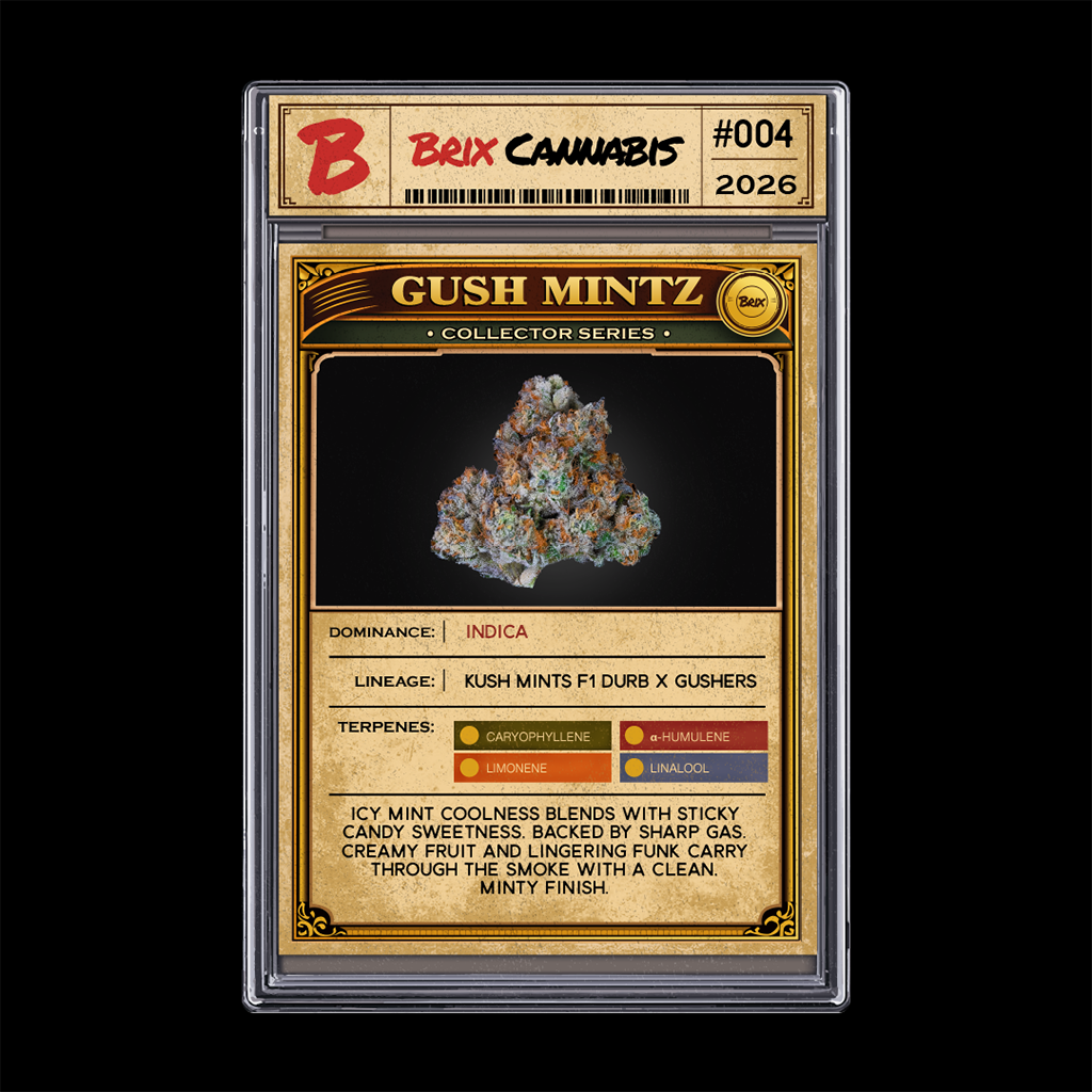 Brix Cannabis Gush Mintz Whole Flower 3.5g (I) 00468