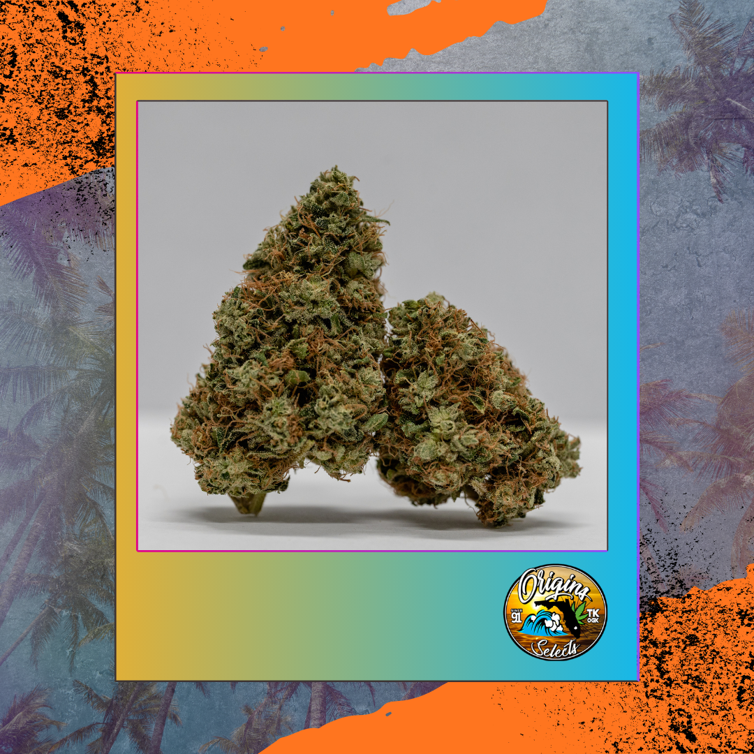 Origins Captain Stash