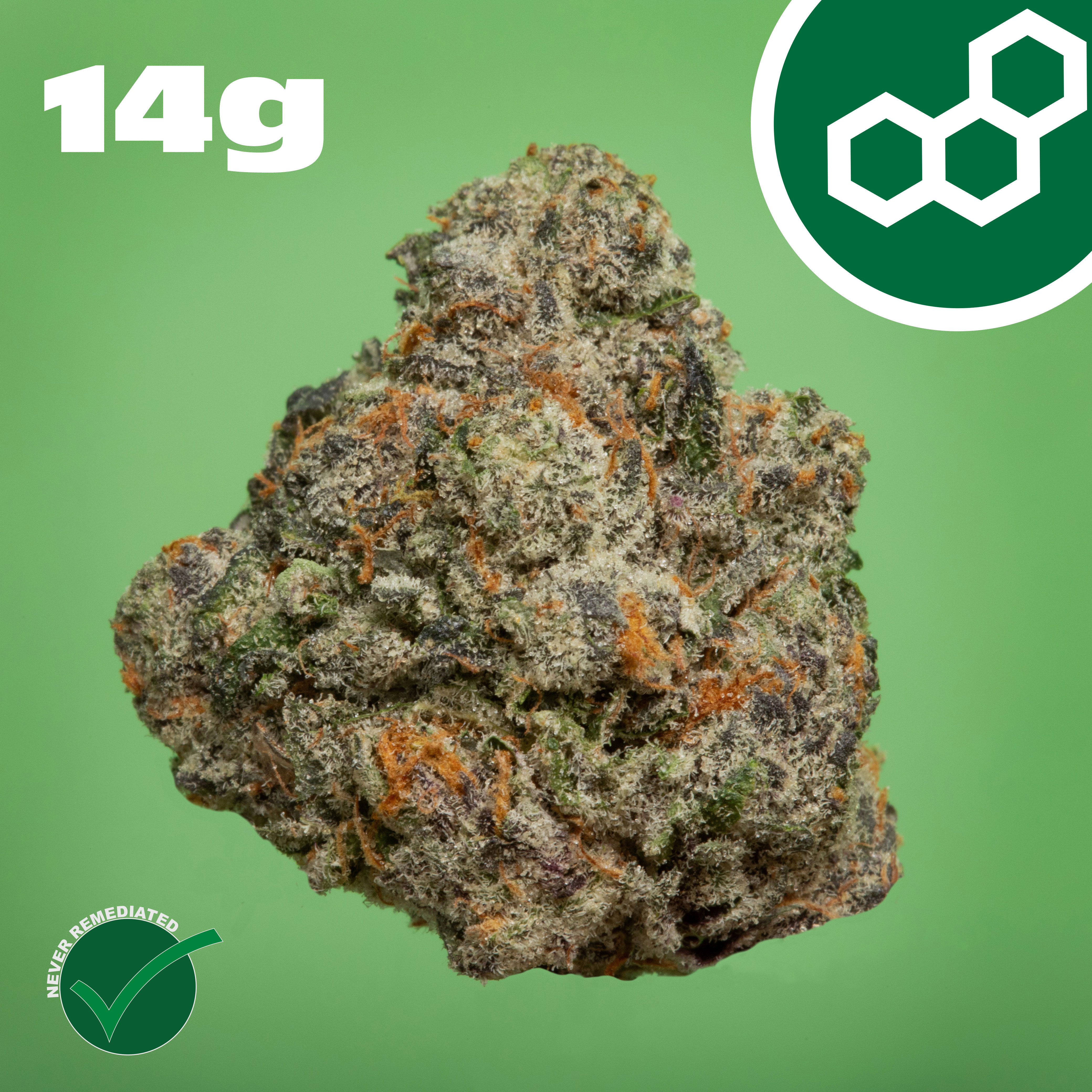 Theraplant - Gas Face (H) Flower  C0040001400