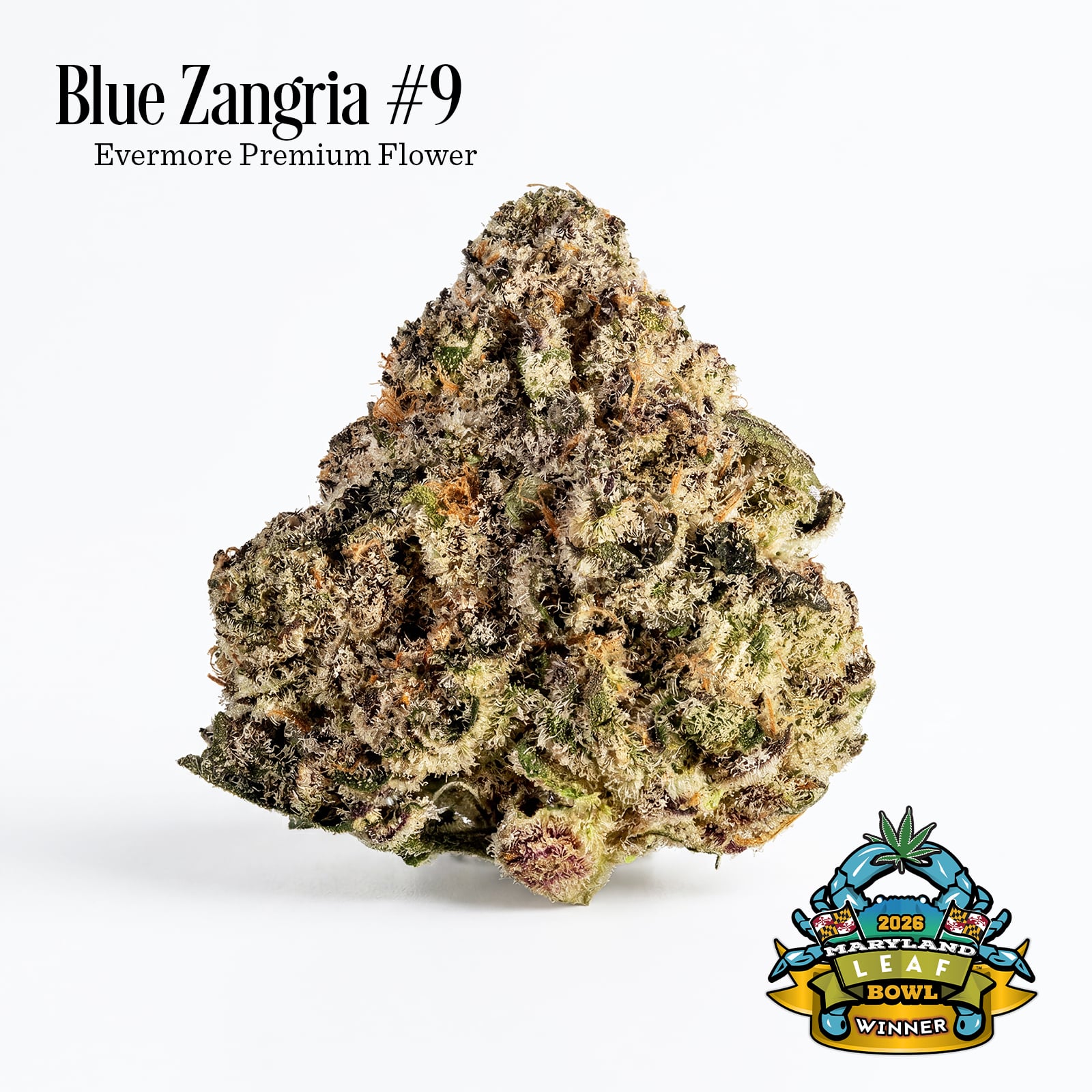 Blue Zangria #9 flower, as labeled by the cited photo source