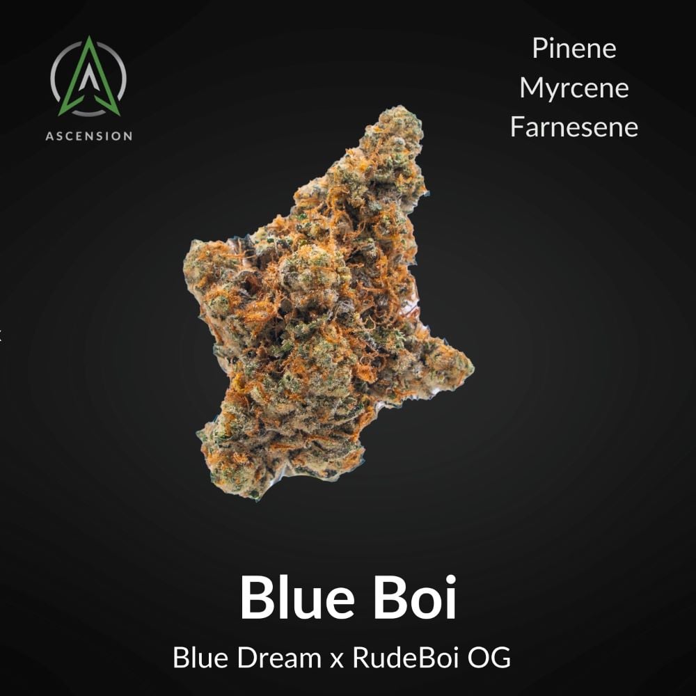Shop Blue Boi [2.83g] | Nar Cannabis (Medical) - [Delaware, OH
