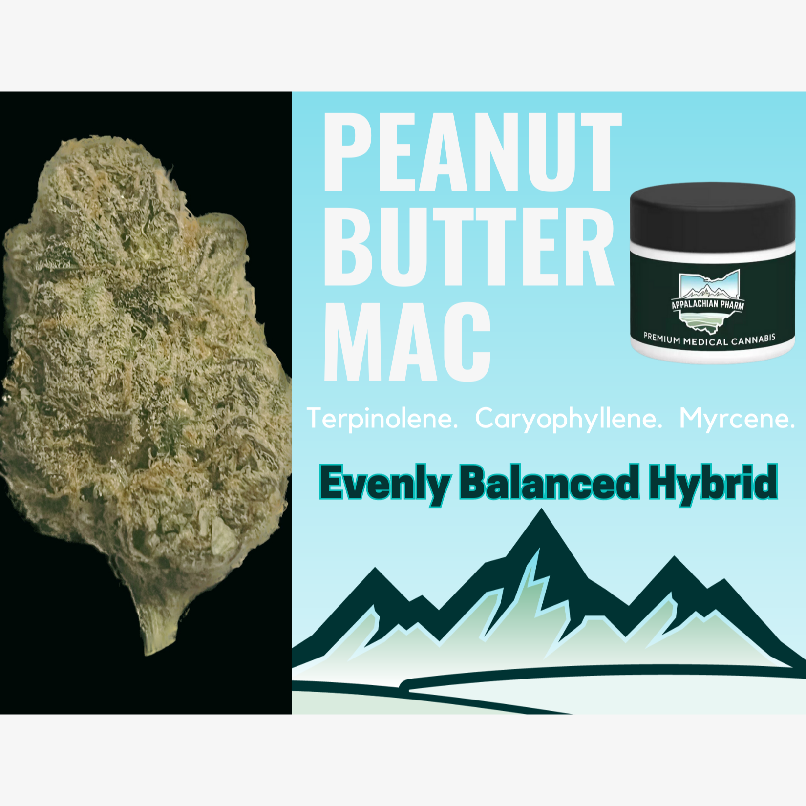 Peanut Butter Mac [2.83g] Appalachian Pharm Jane