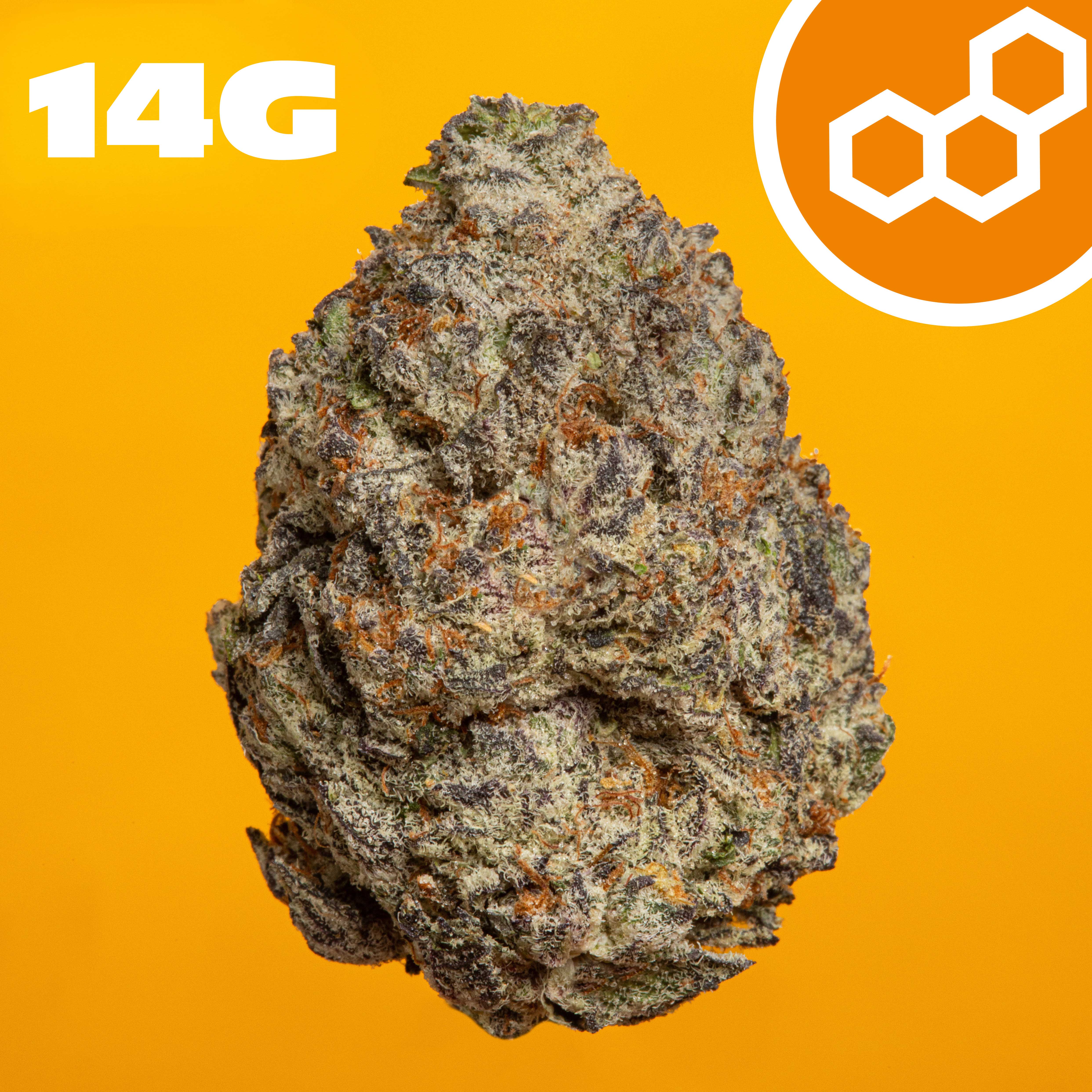 Theraplant - Strawberry Cndy (S) Flower  C0040001964