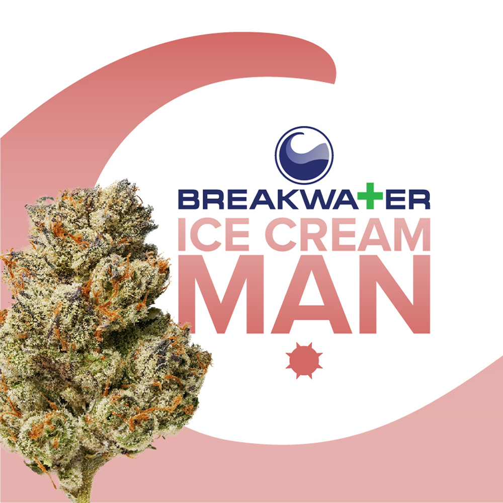 Ice Cream Man Breakwater Premium Bud Jane