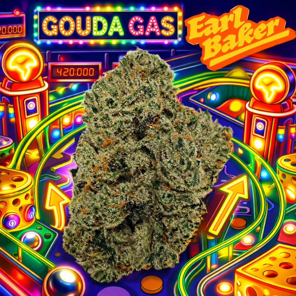 Earl Baker - Gouda Gas (I) Flower  C0110000089