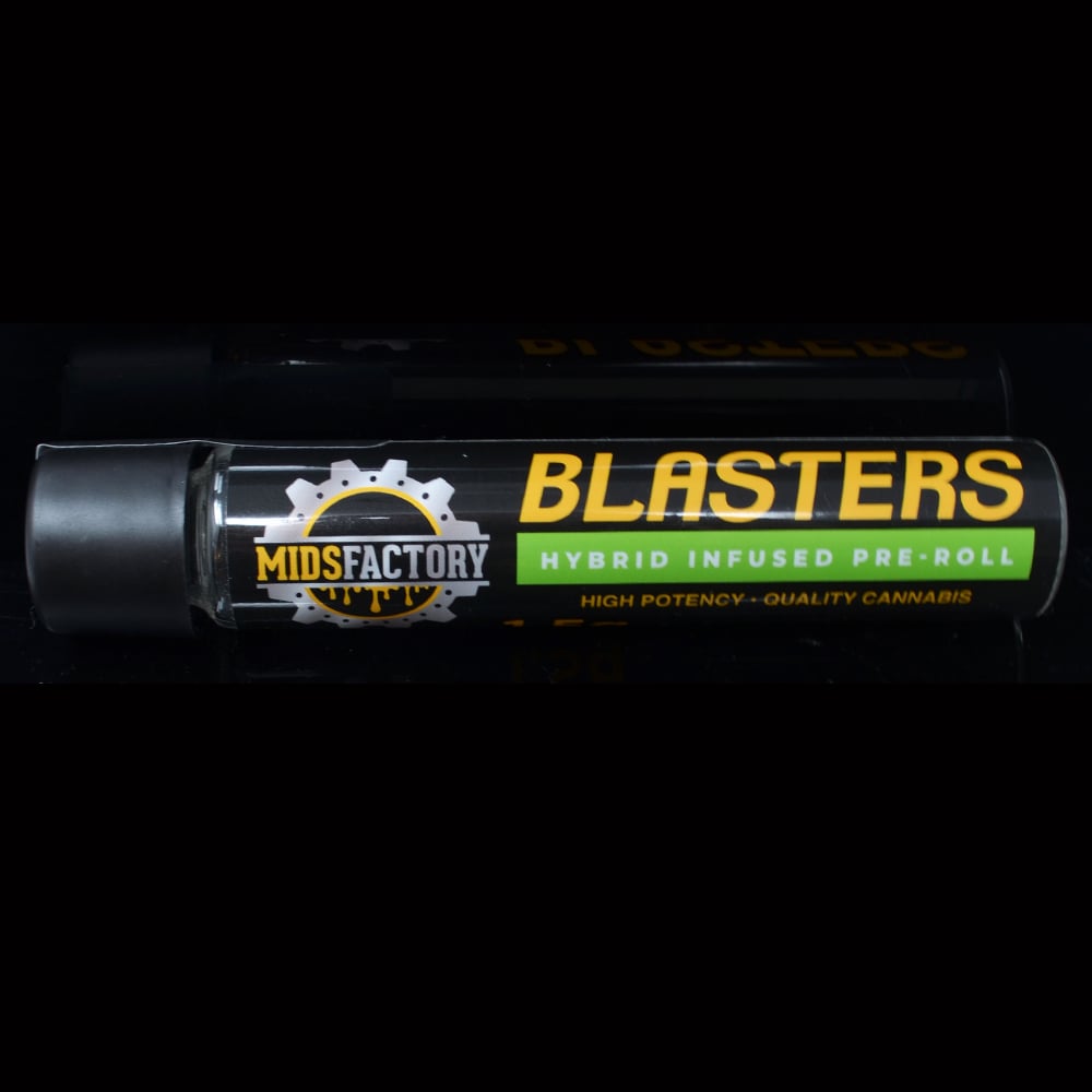 Gusher Mintz x Sunset Fatso [1.5g]