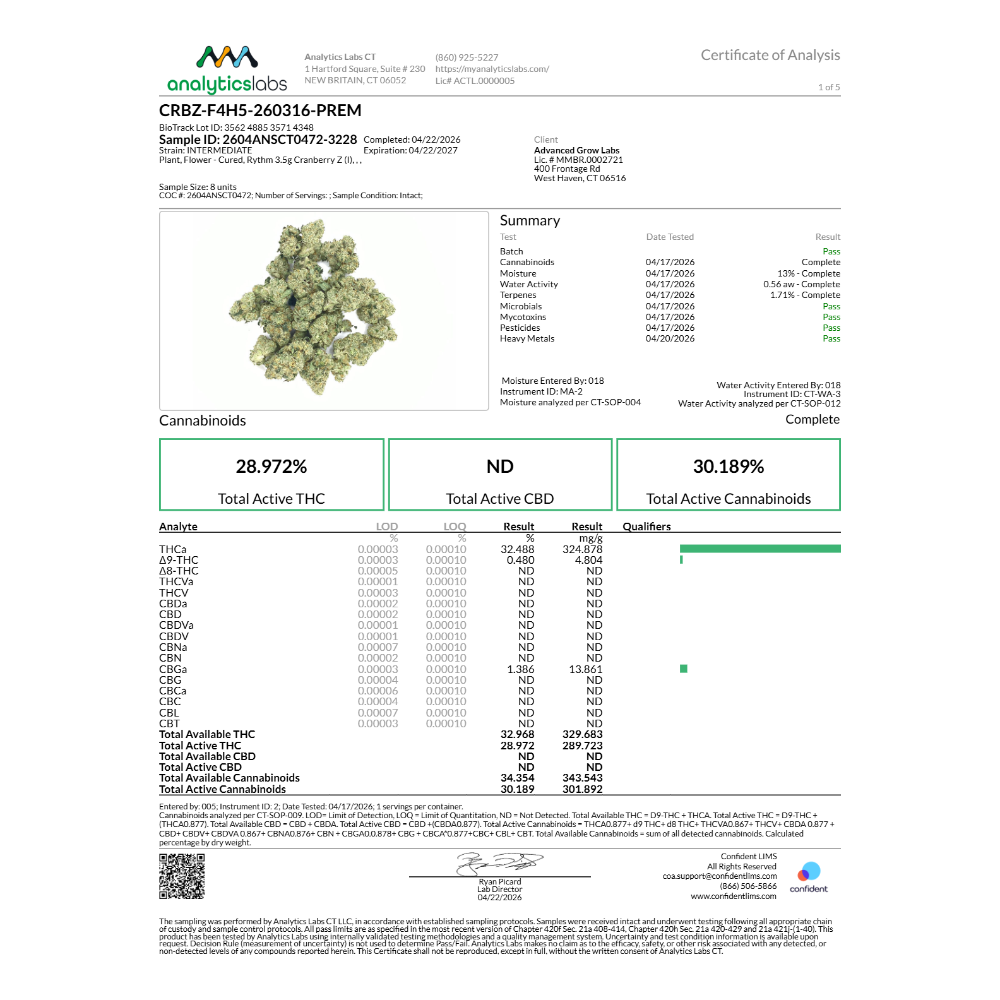 Shop Rythm 3.5g Cranberry Z (I) 01482 | Bluepoint Wellness