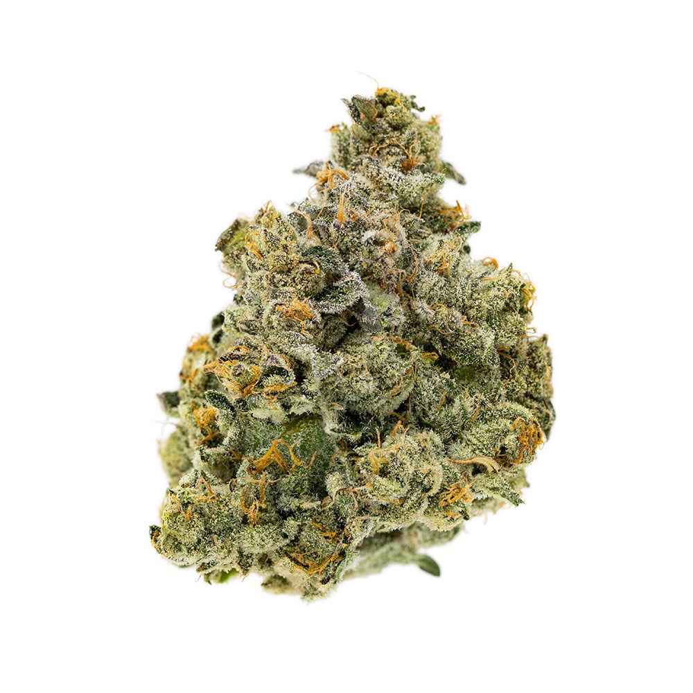 Shop Baby Jokerz | BEYOND / HELLO - Ardmore Dispensary