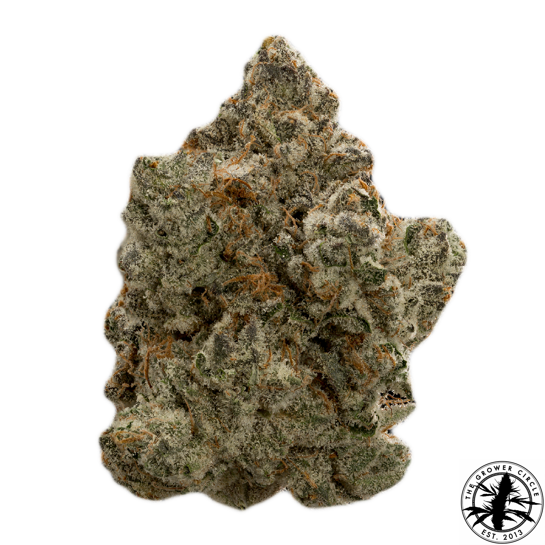 Peach Cobbler Peach Cobbler