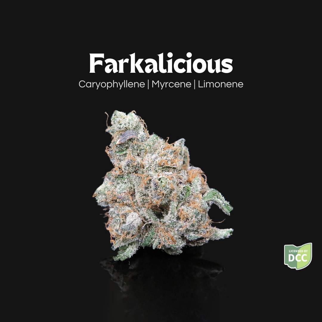 FARKAS FARMS - FARKALICIOUS  HYBRID