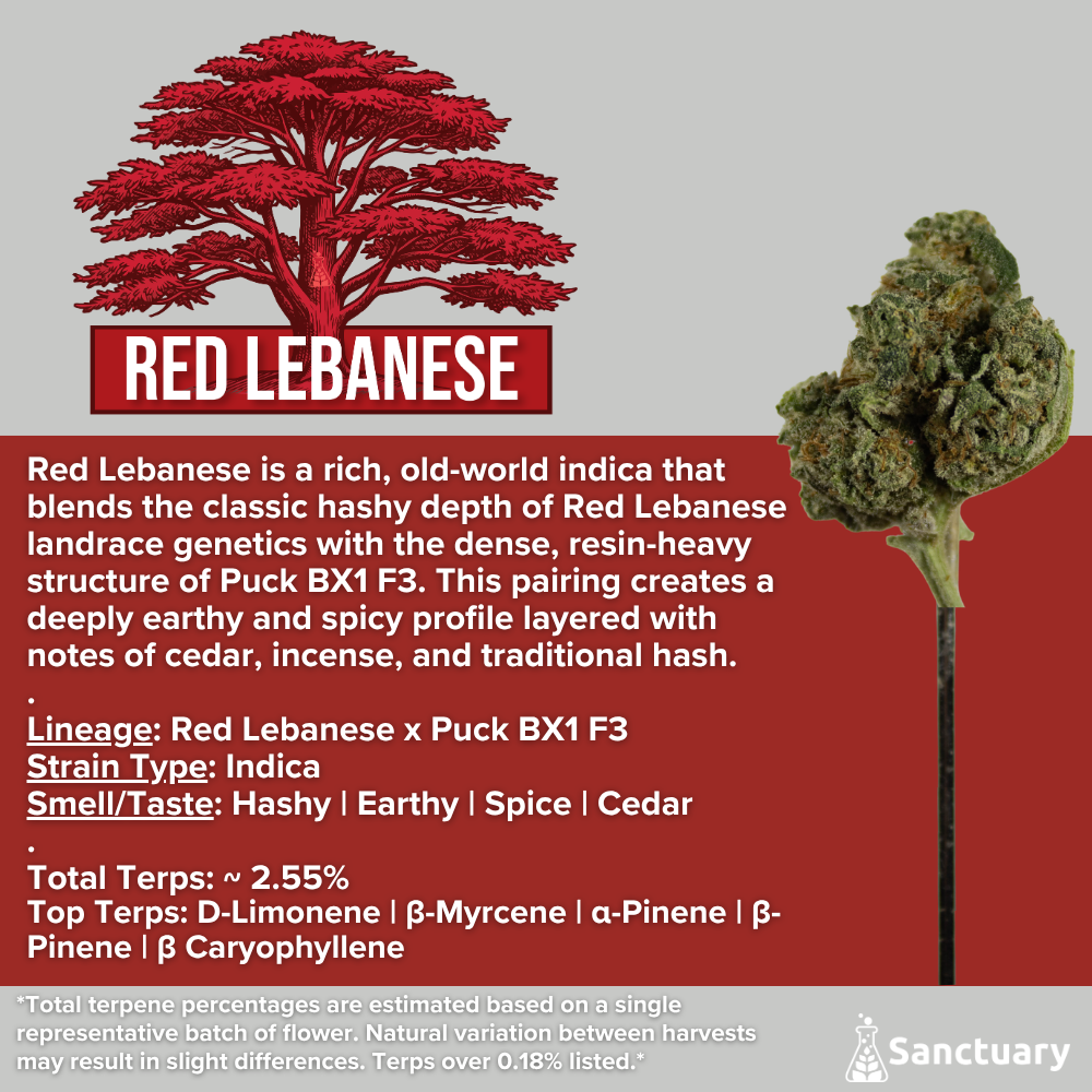 Whole Buds - Red Lebanese