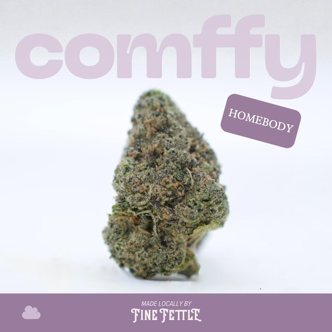 Comffy - Homebody (I) Flower  C0140000126