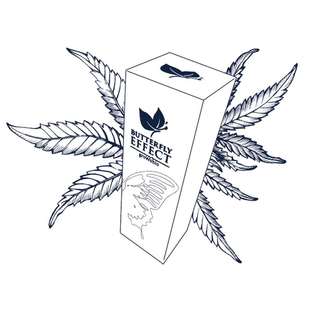 11 220mg Tincture Butterfly Effect Butterfly Effect Premium
