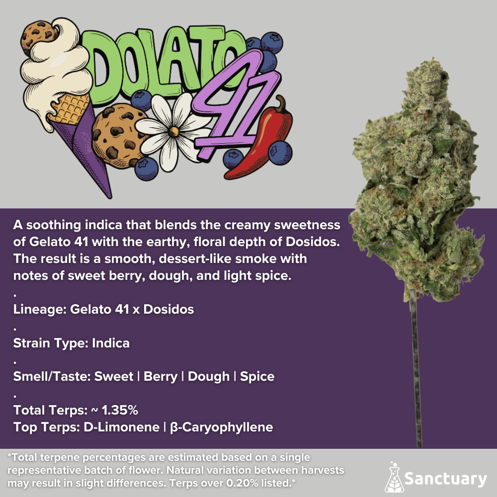 Whole Buds - Dolato 41