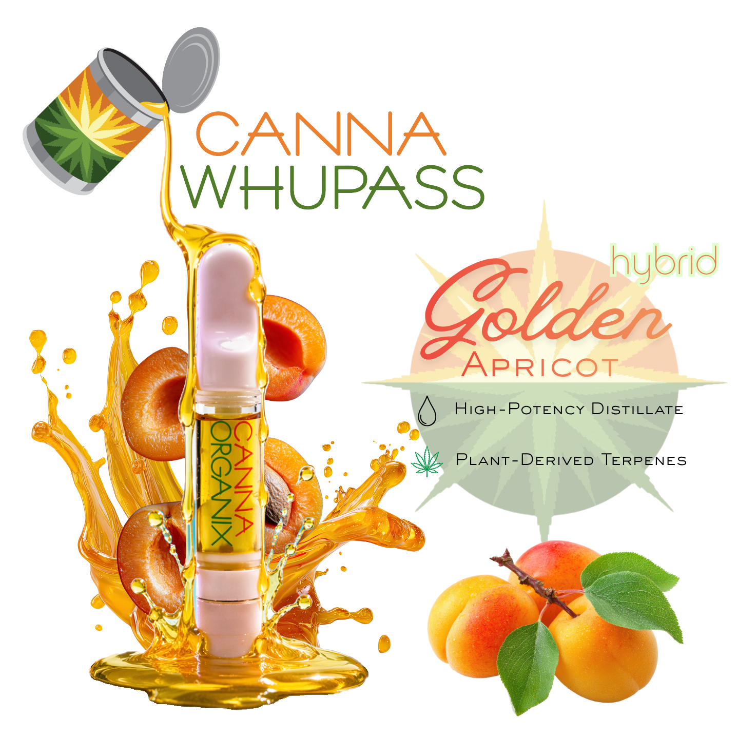 Golden Apricot