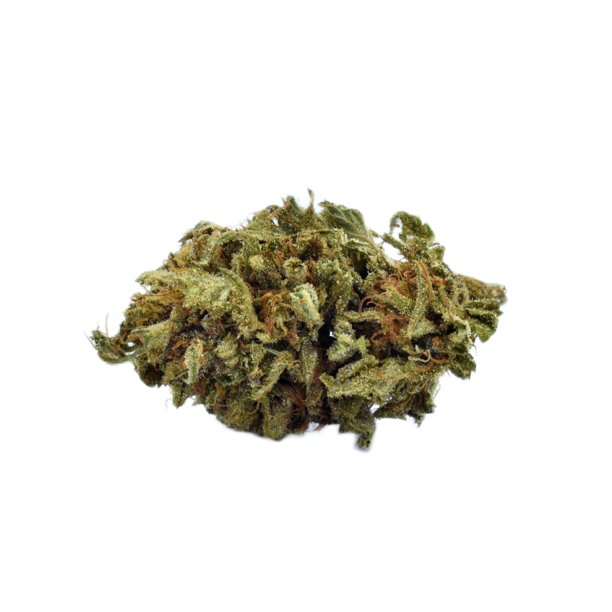 Royal Blueberry