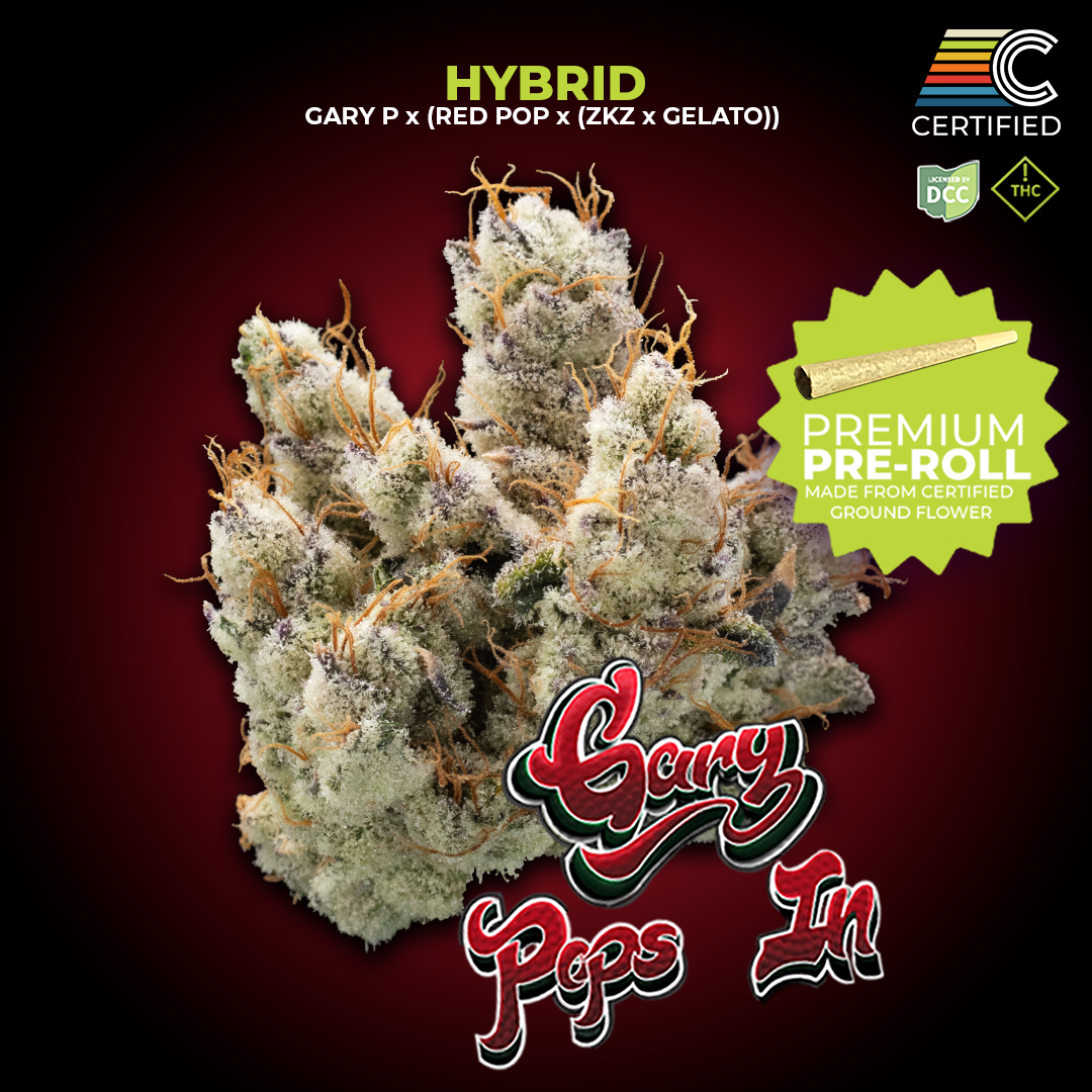 CERTIFIED CULTIVATORS - GARY POPS IN - PREROLL - [1G] - HYBRID