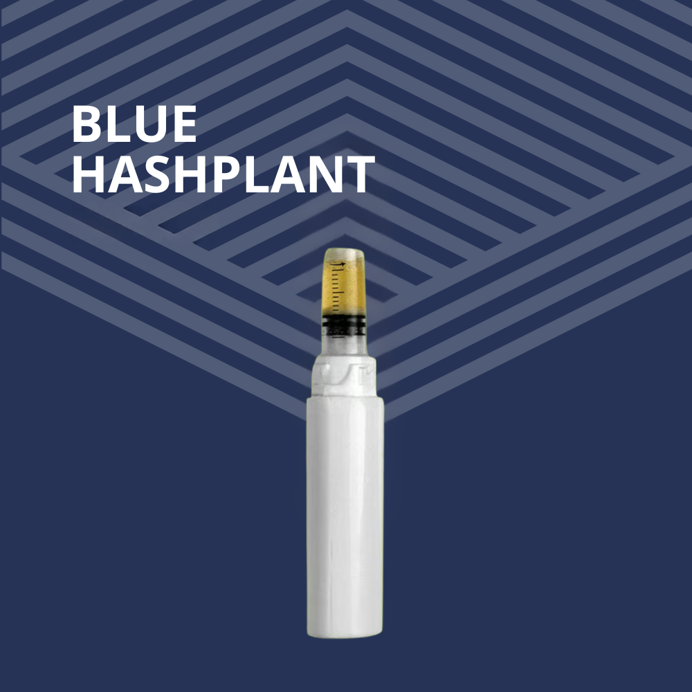Blue Hashplant PDO