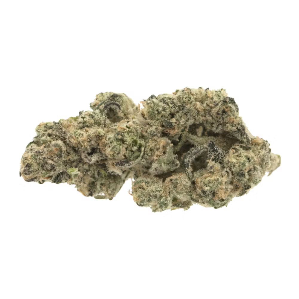 GSC x Gelato GSC x Gelato