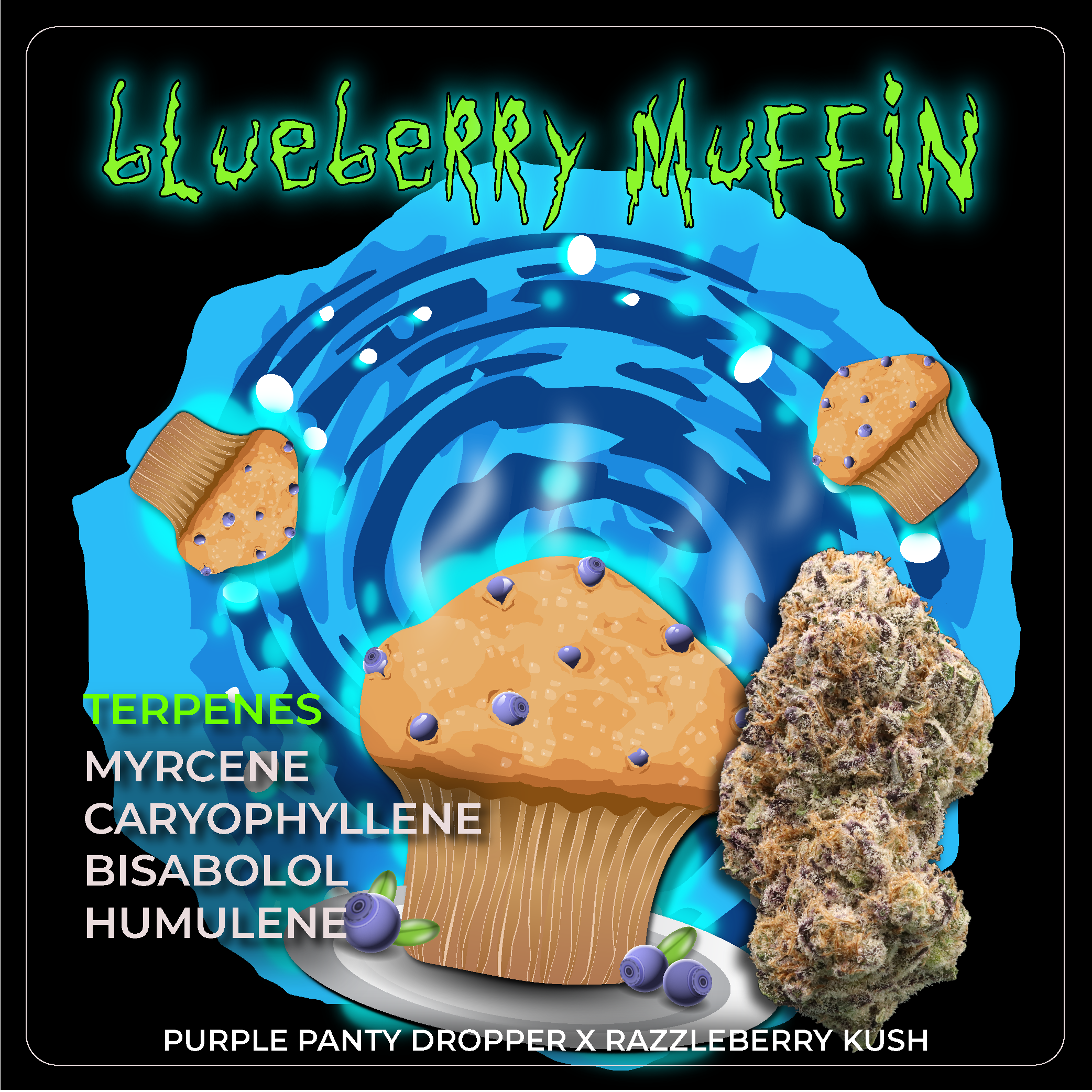 Blueberry Simply Nature Organic Blueberries Same-Day Delivery or Pickup | ALDI