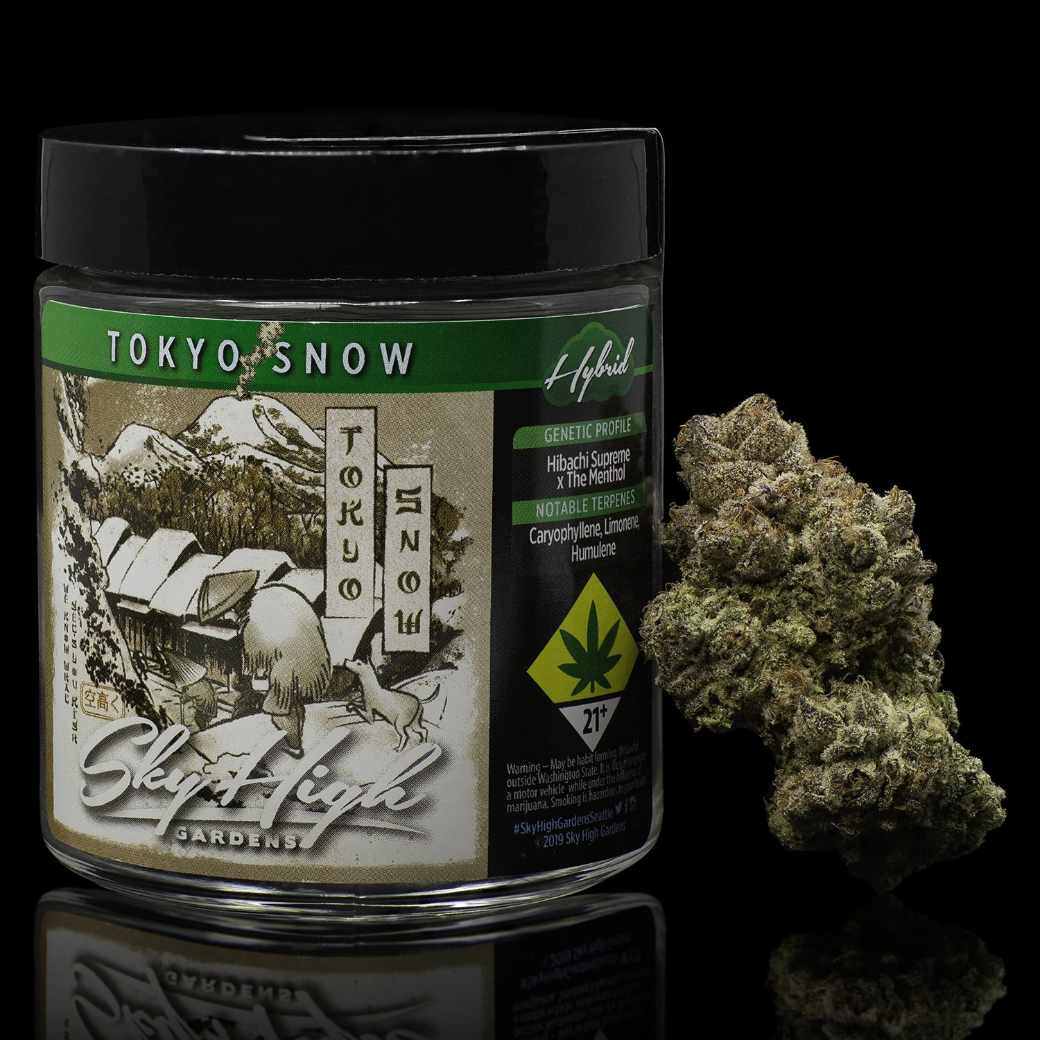 Tokyo Snow Tokyo Snow