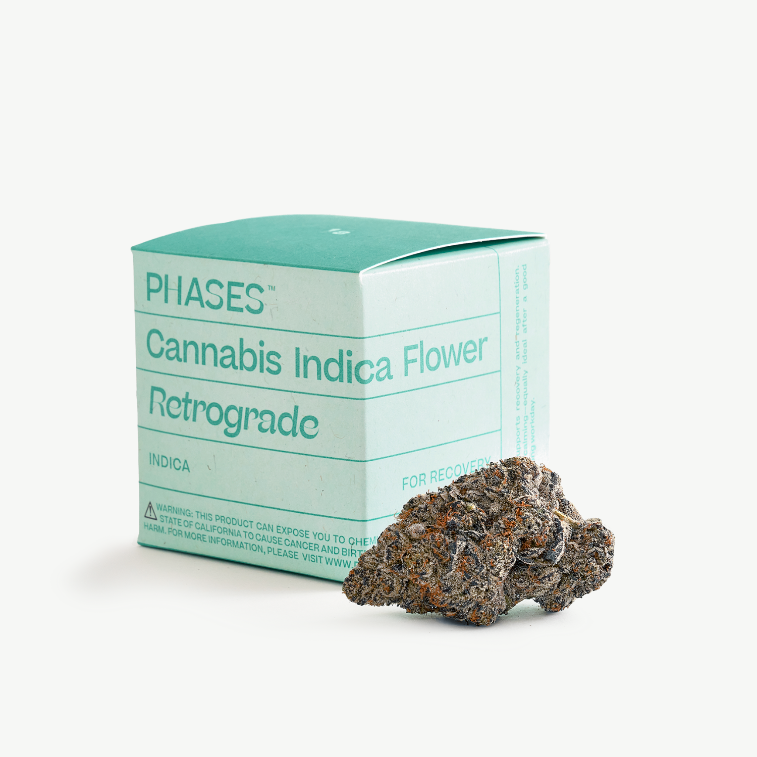 Frosted Fade Frosted Fade