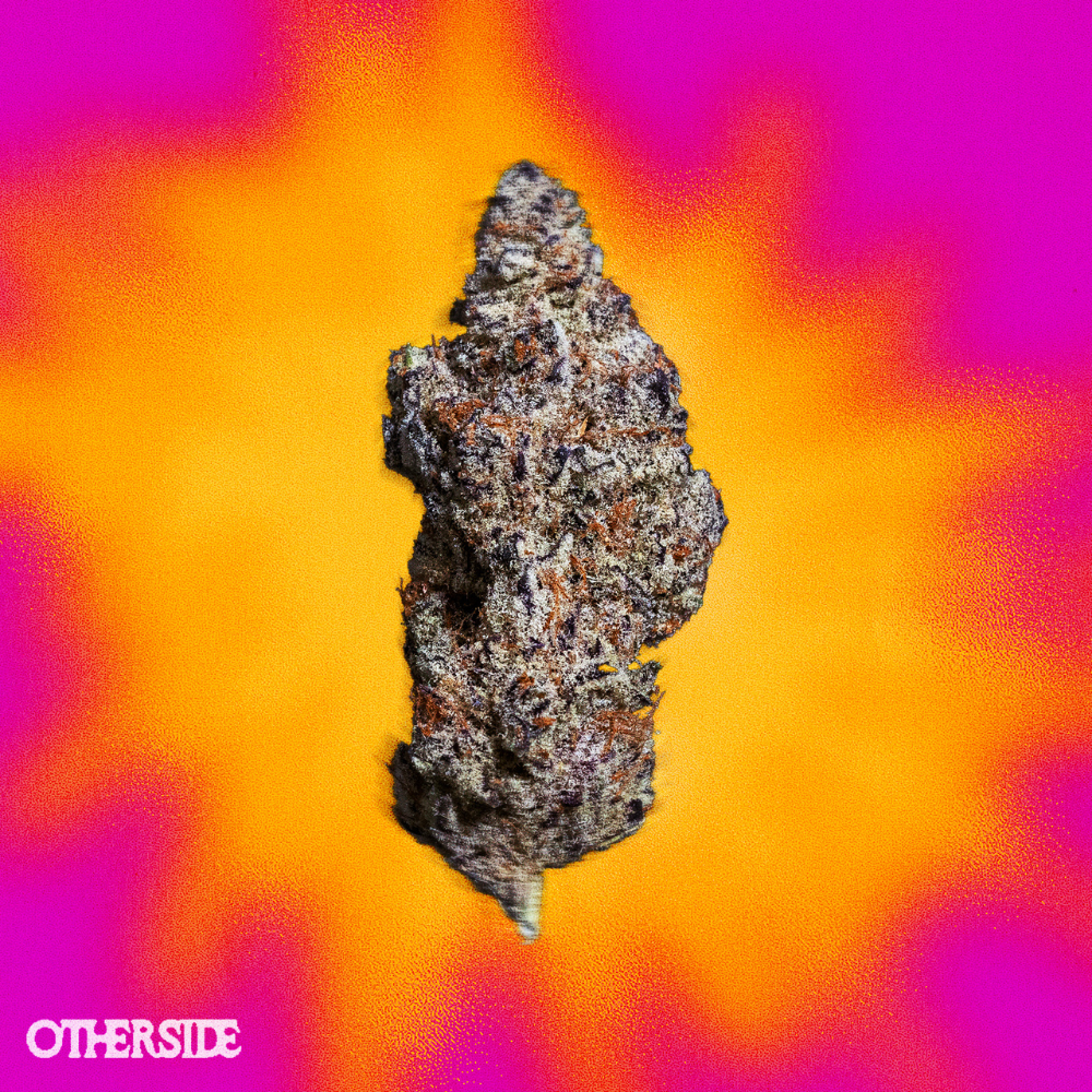 C CORLEONE✴︎Mega Rare✴︎dope mellow bomb OG Shop Top-Shelf Cannabis Sativa in Red Bank | Frosted Nug
