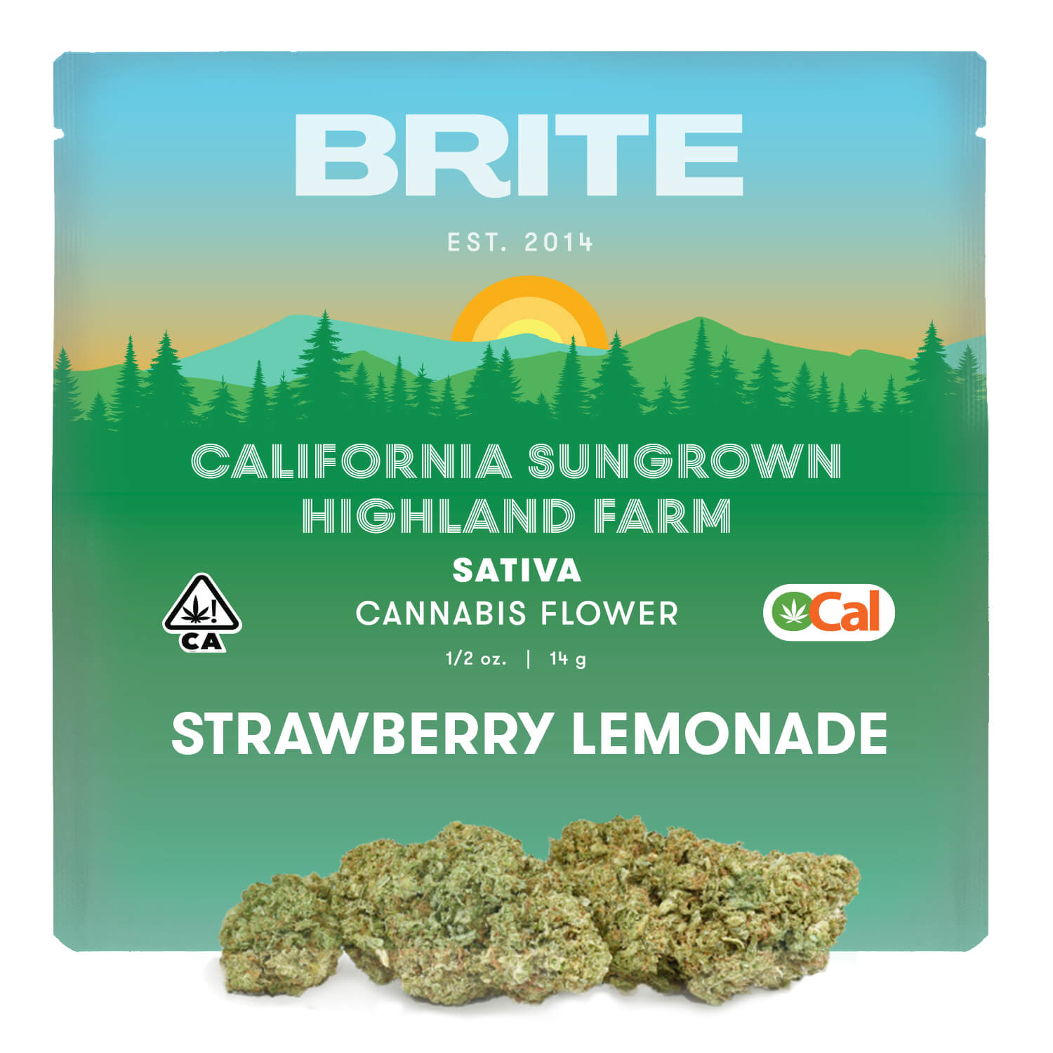 Sour Lemonade Sour Lemonade