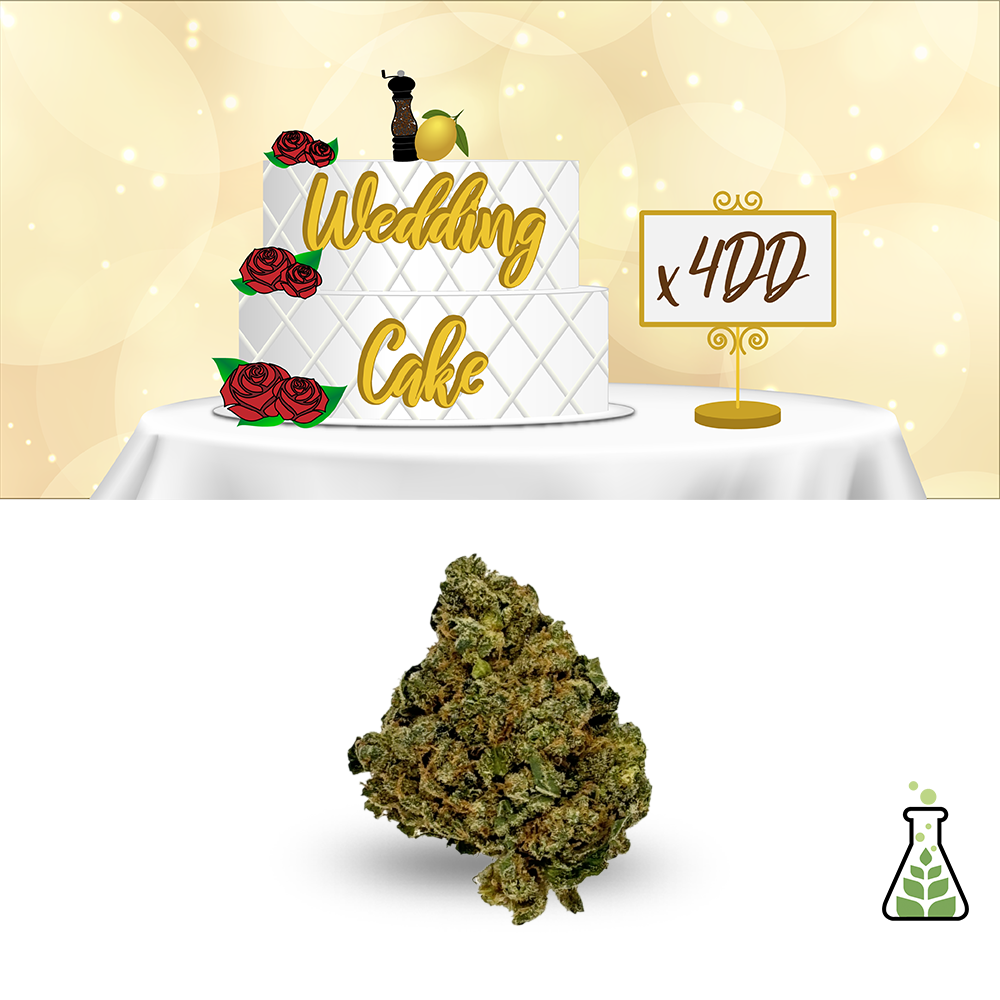Wedding Cake x 4DD Sanctuary Medicinals Jane