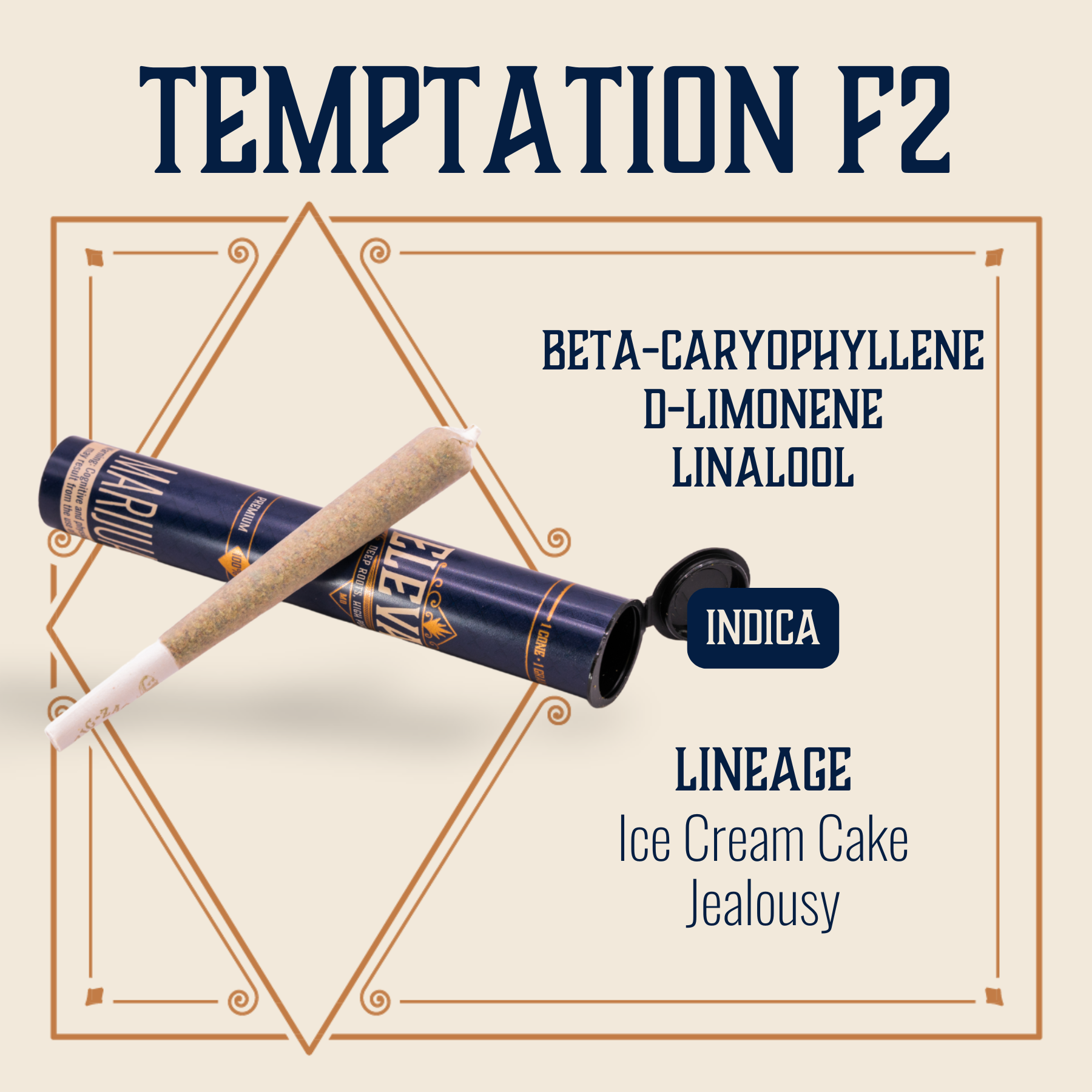 Temptation F2 [1g]