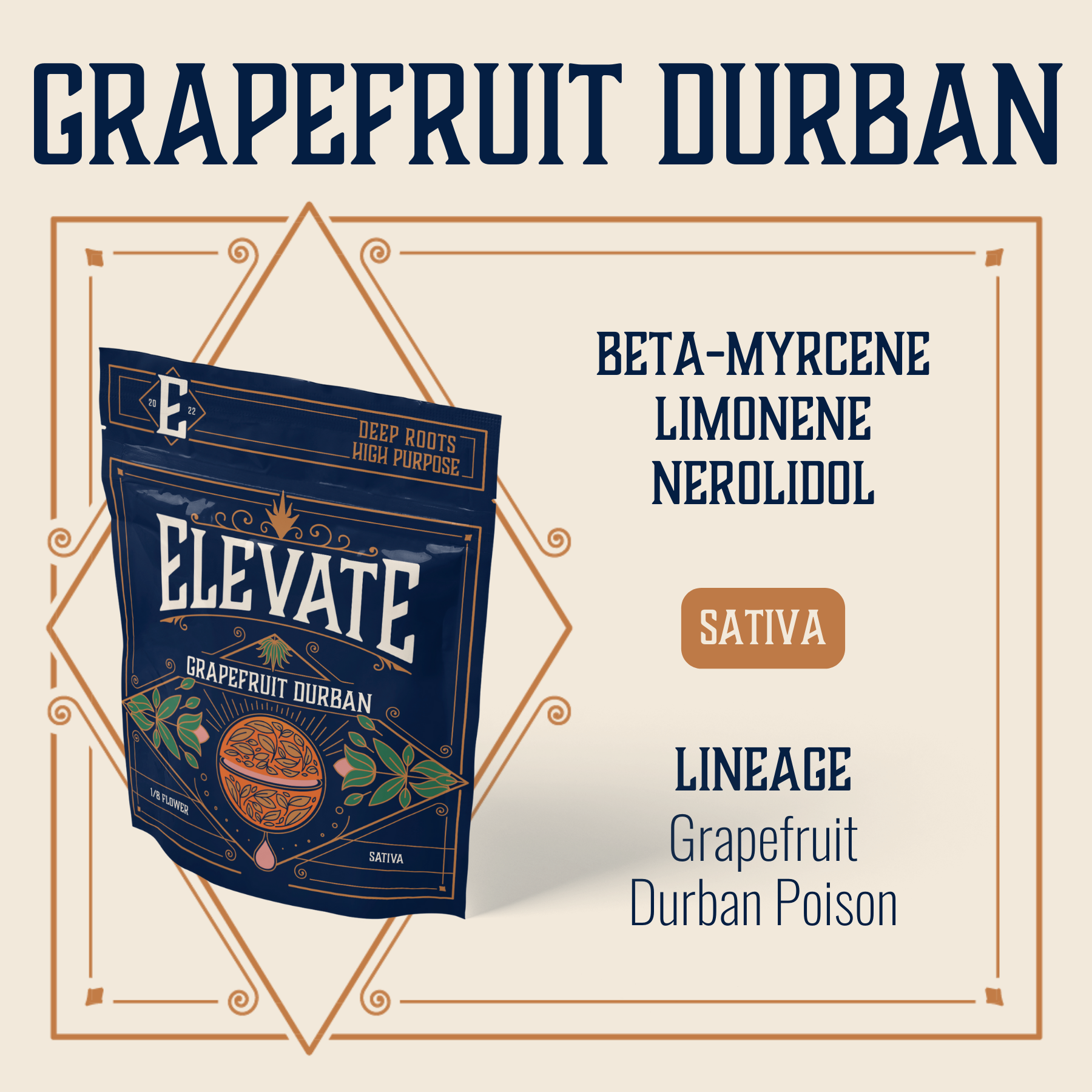 Grapefruit Durban Elevate Jane