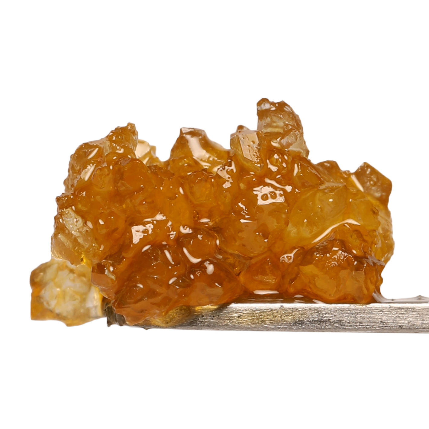 Apricot Scone