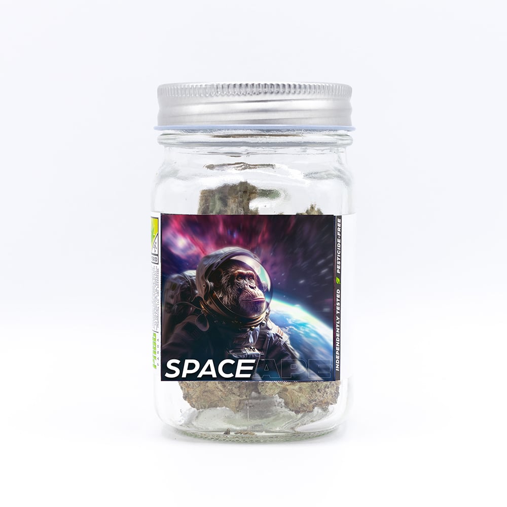 Space Ape