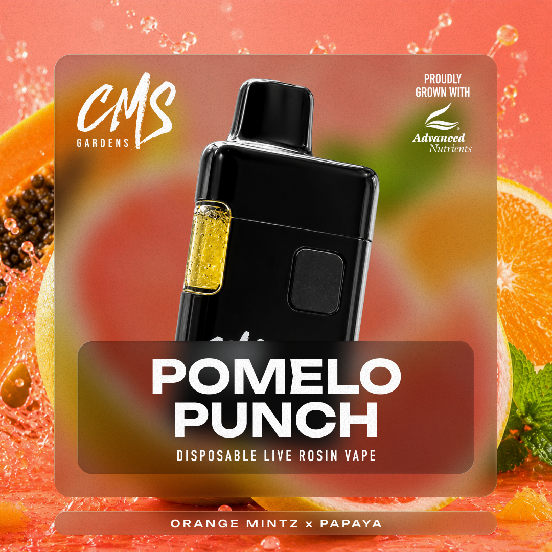 product card