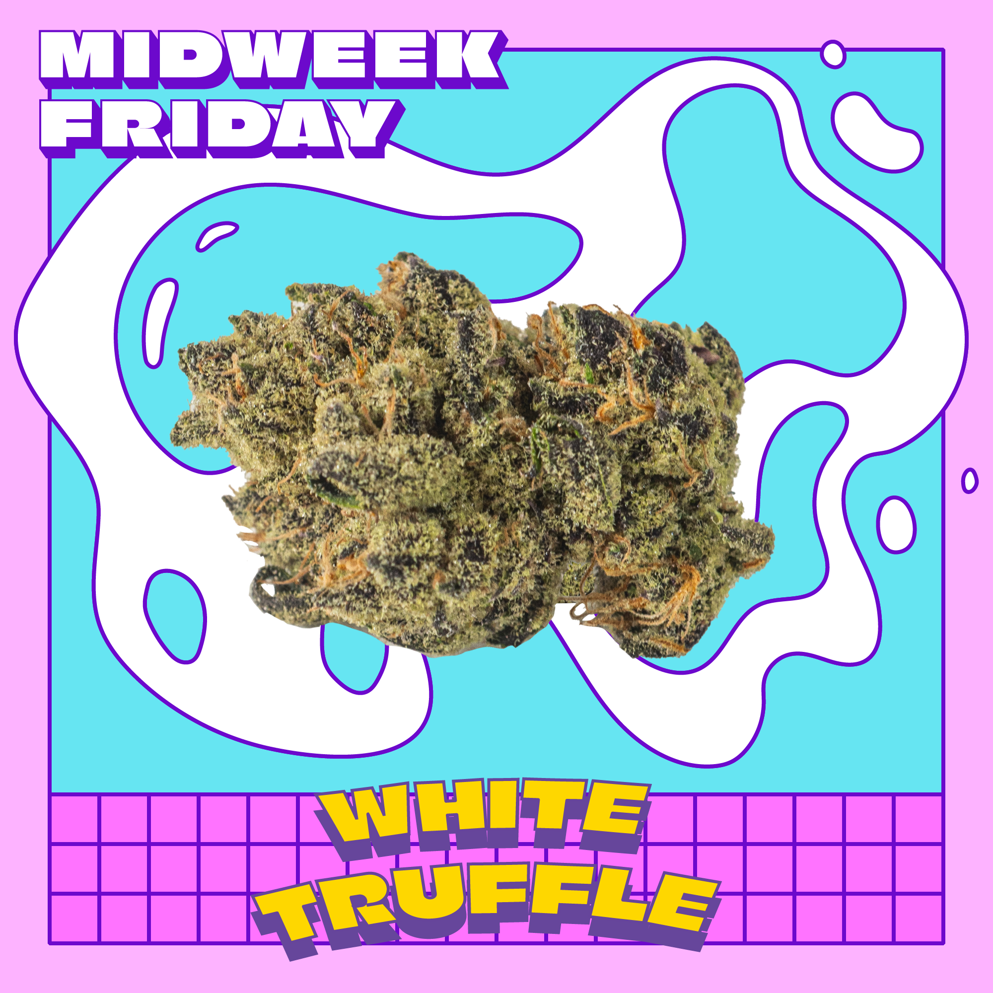 White Truffle | Midweek Friday | Popcorn - Jane