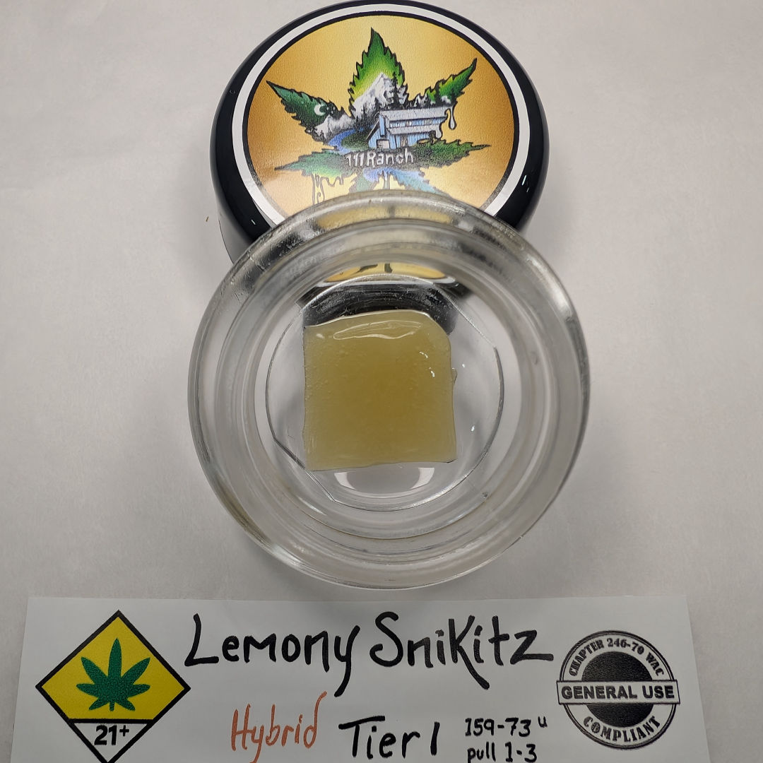Lemony Snikitz