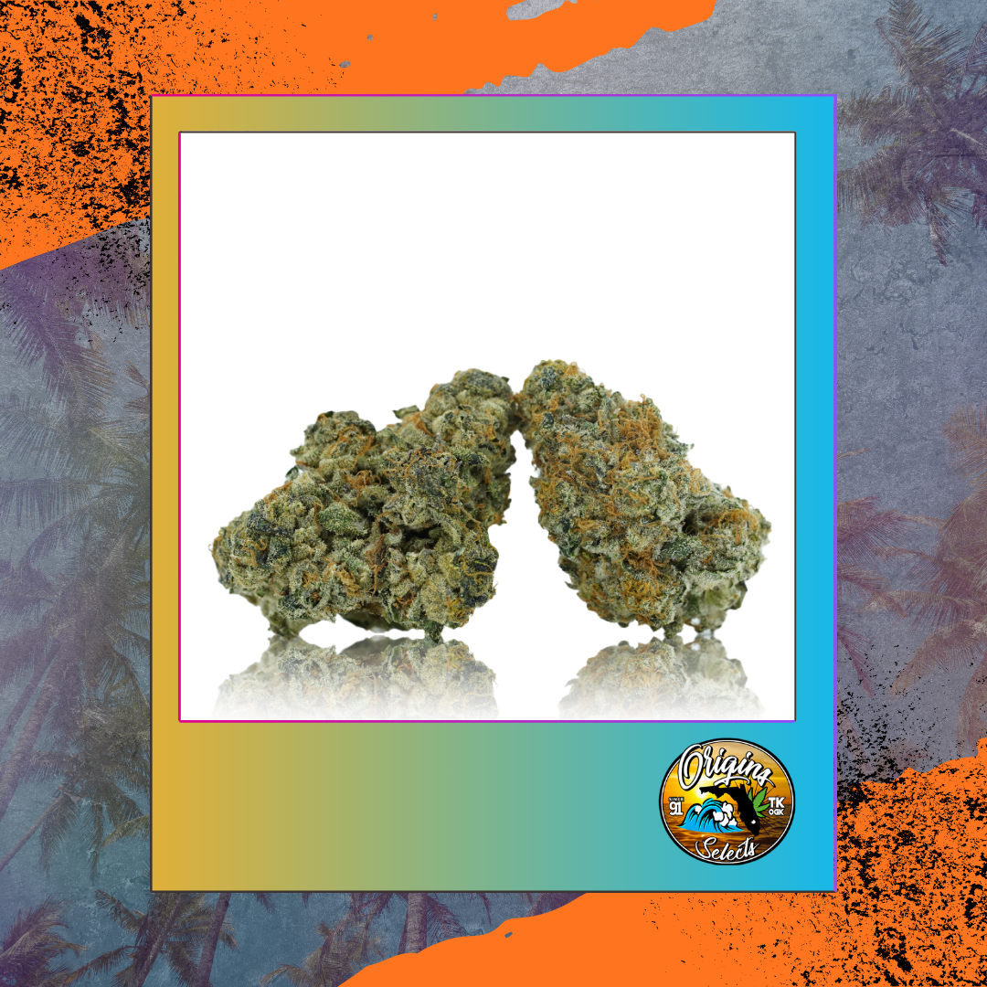 Origins Captain Caveman