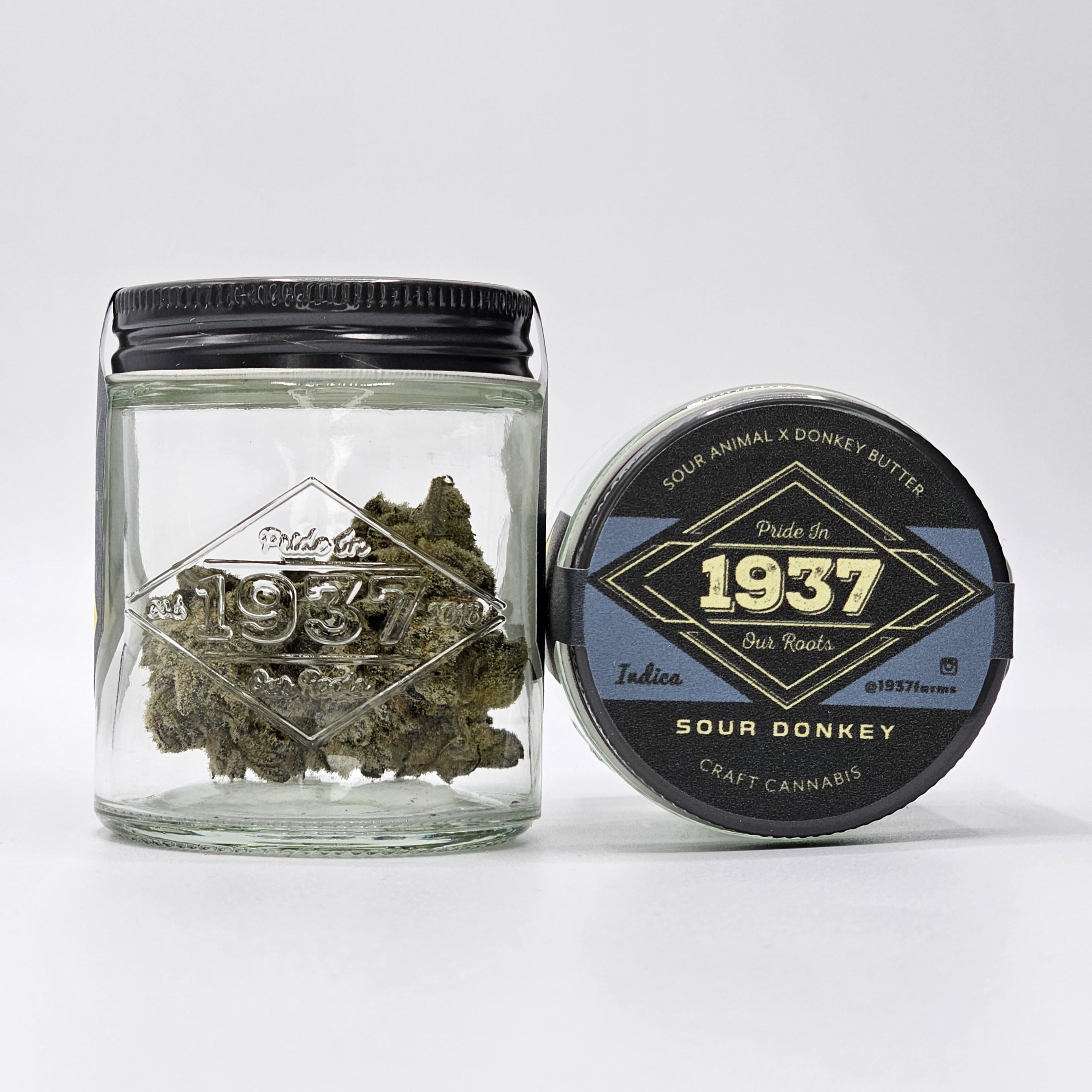 Shop Sour Donkey | High Point Cannabis Dispensary Kingston, WA