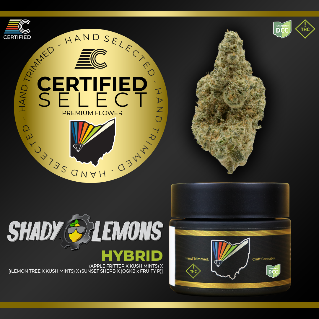 Shop Shady Lemons [2.83g] | Jane