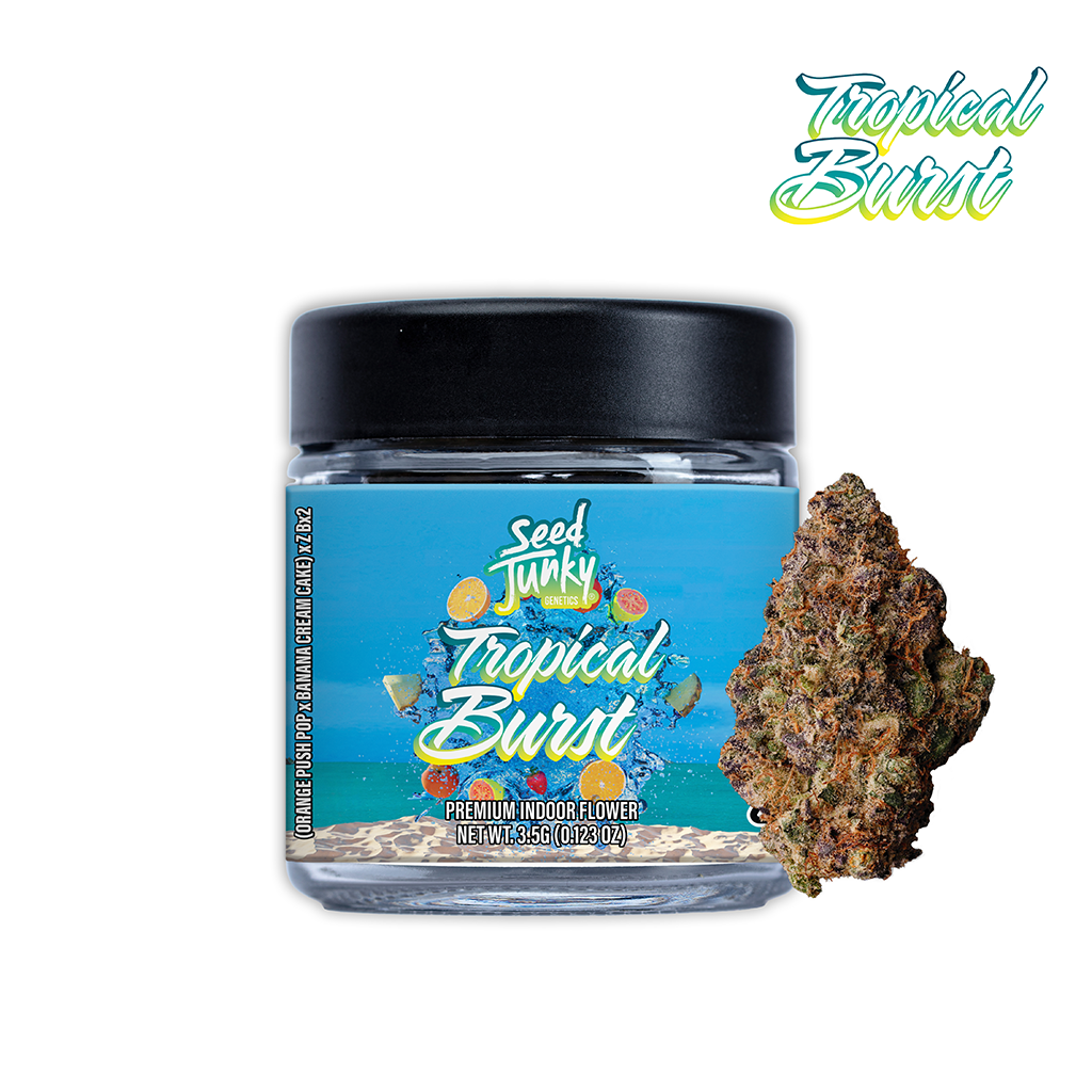 Tropical Burst