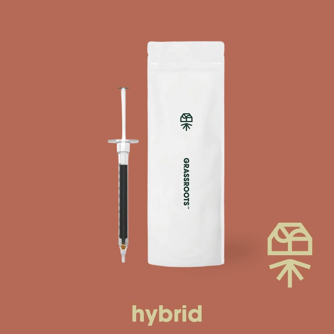 grassroots disposable vape pen How To Use Robust's Disposable Live Rosin Vape Pens • Feel State main image 0