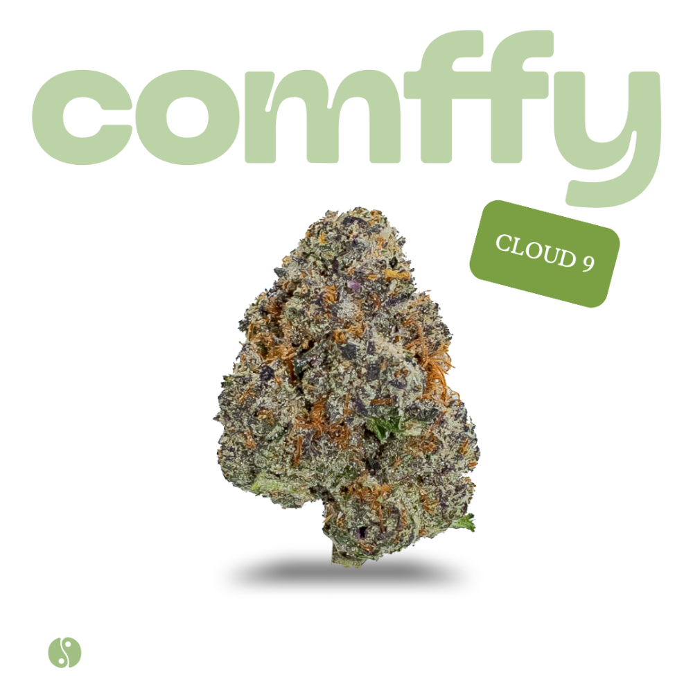 comffy - Cloud 9 (H) Flower  C0140000270