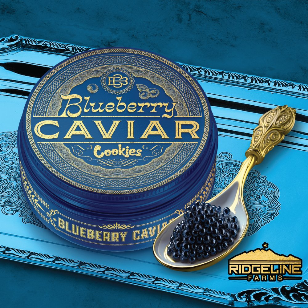 Blueberry Caviar Blueberry Caviar