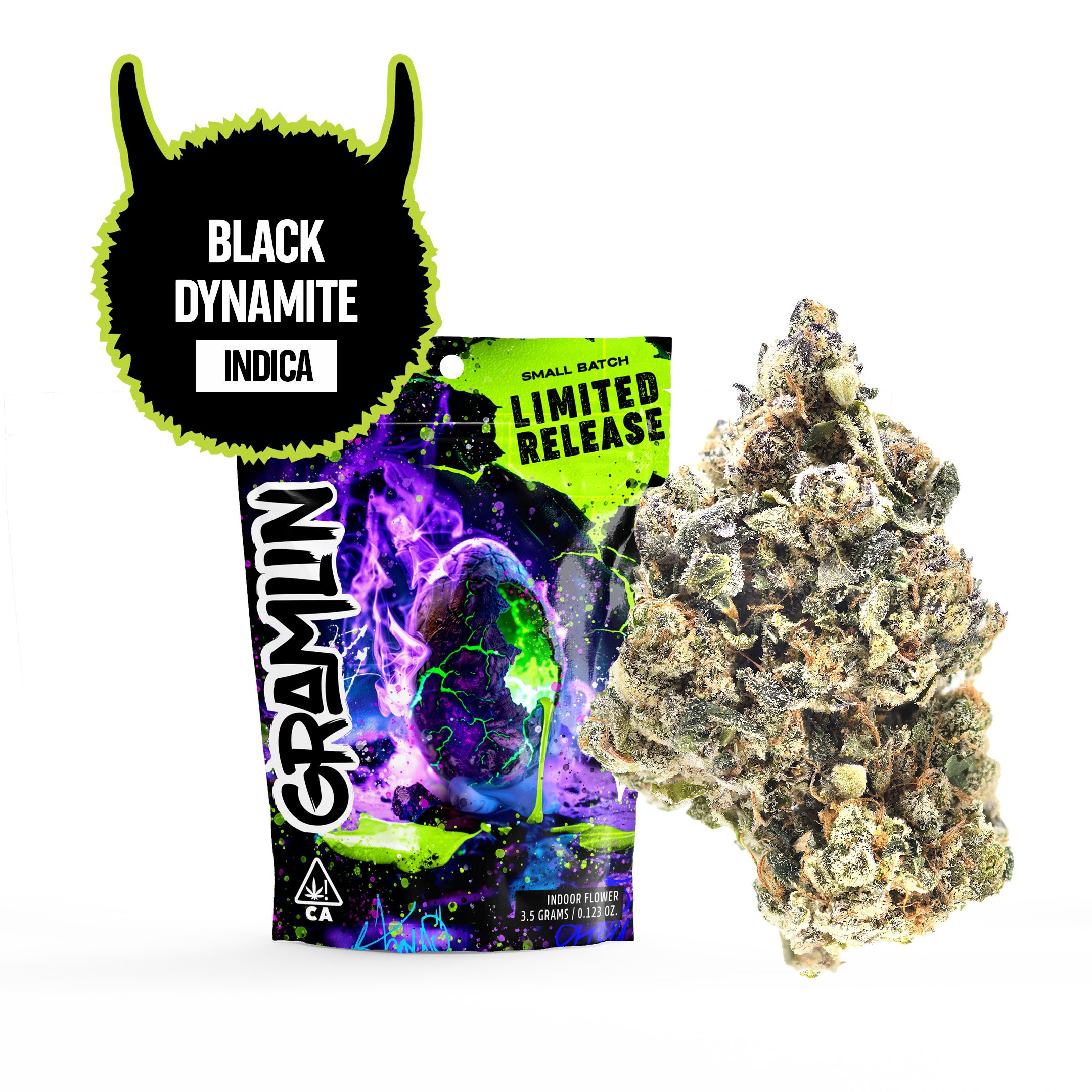 Black Dynamite Black Dynamite