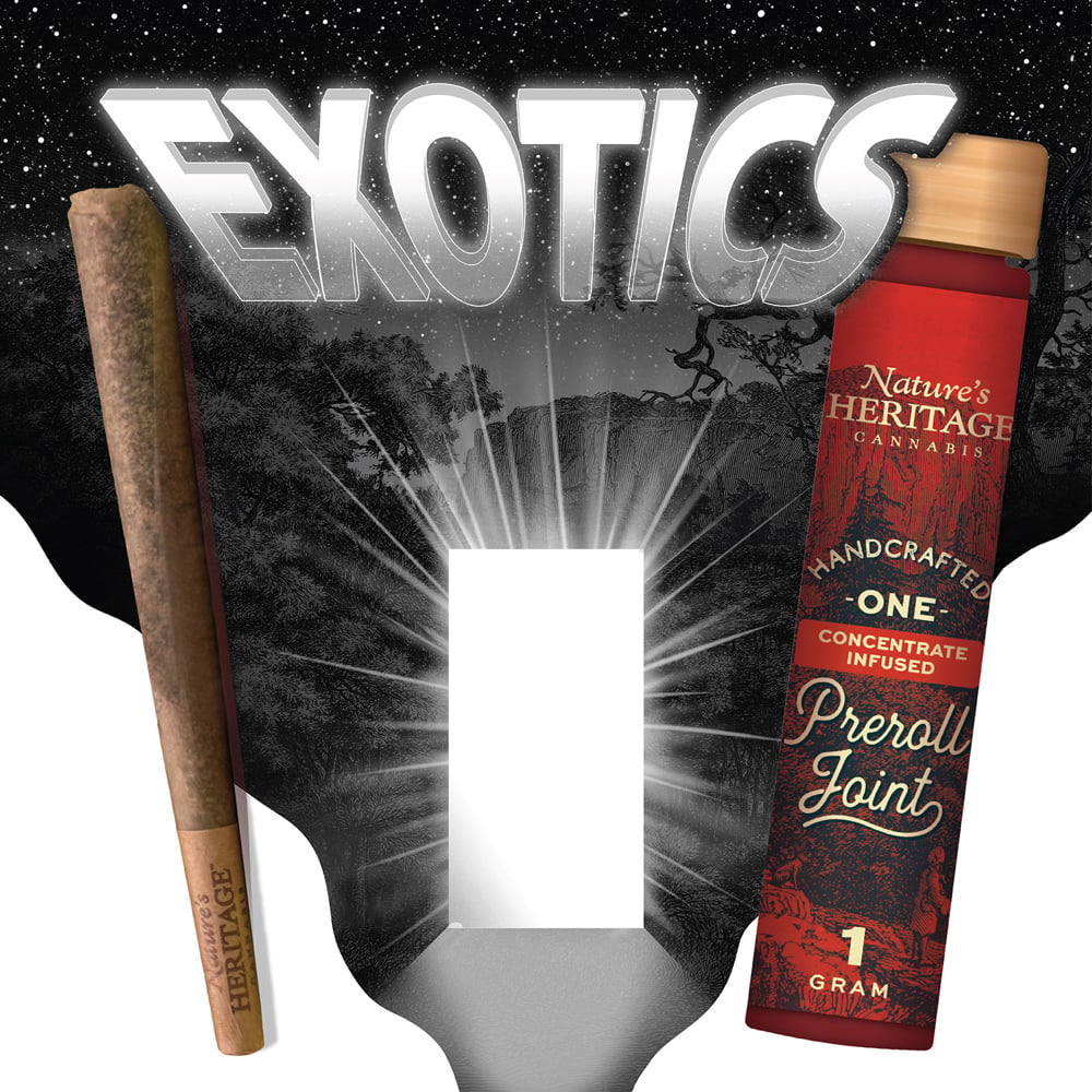nature's heritage disposable vape Cheese [1g] lower Strength:10 mg/ml Ghost Casper Blend Disposable
