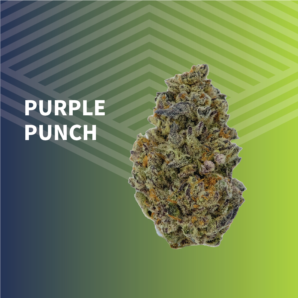 Purple Punch - 1/8oz in Williston